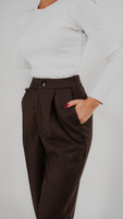 pants with straight cut and elastic waistband in brown color